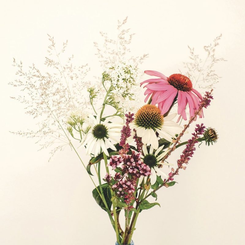 Modularer Pflanzplan Pink Prairie zum Download