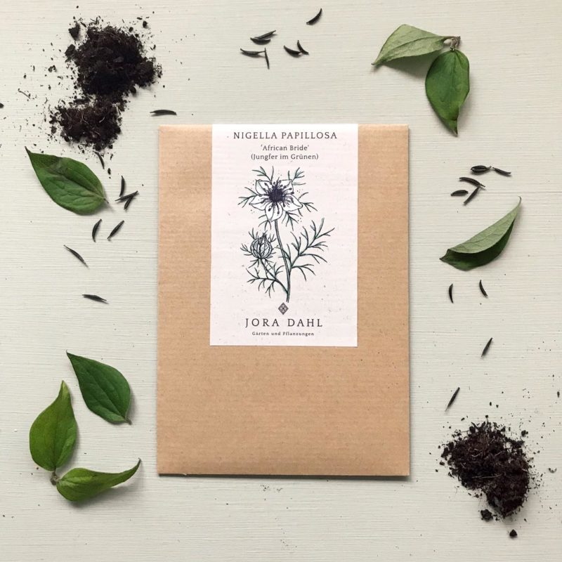 Saatgut, Blumensamen, Einjährige, Illustration Rekersdrees