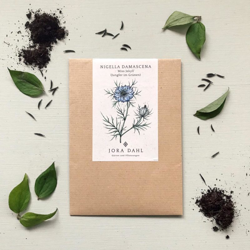 Saatgut, Blumensamen, Einjährige, Illustration Rekersdrees