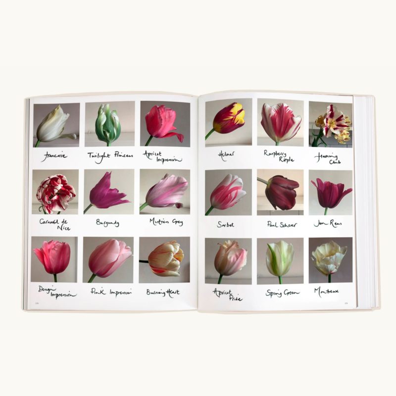 The Land Gardeners: Cut Flowers - Image 2