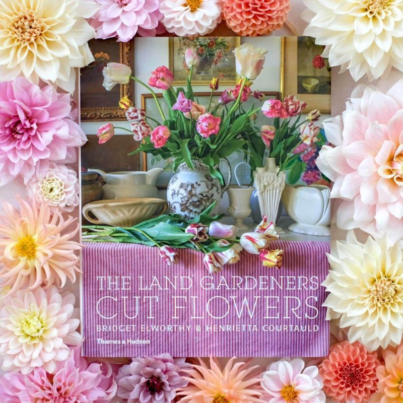 The Land Gardeners: Cut Flowers