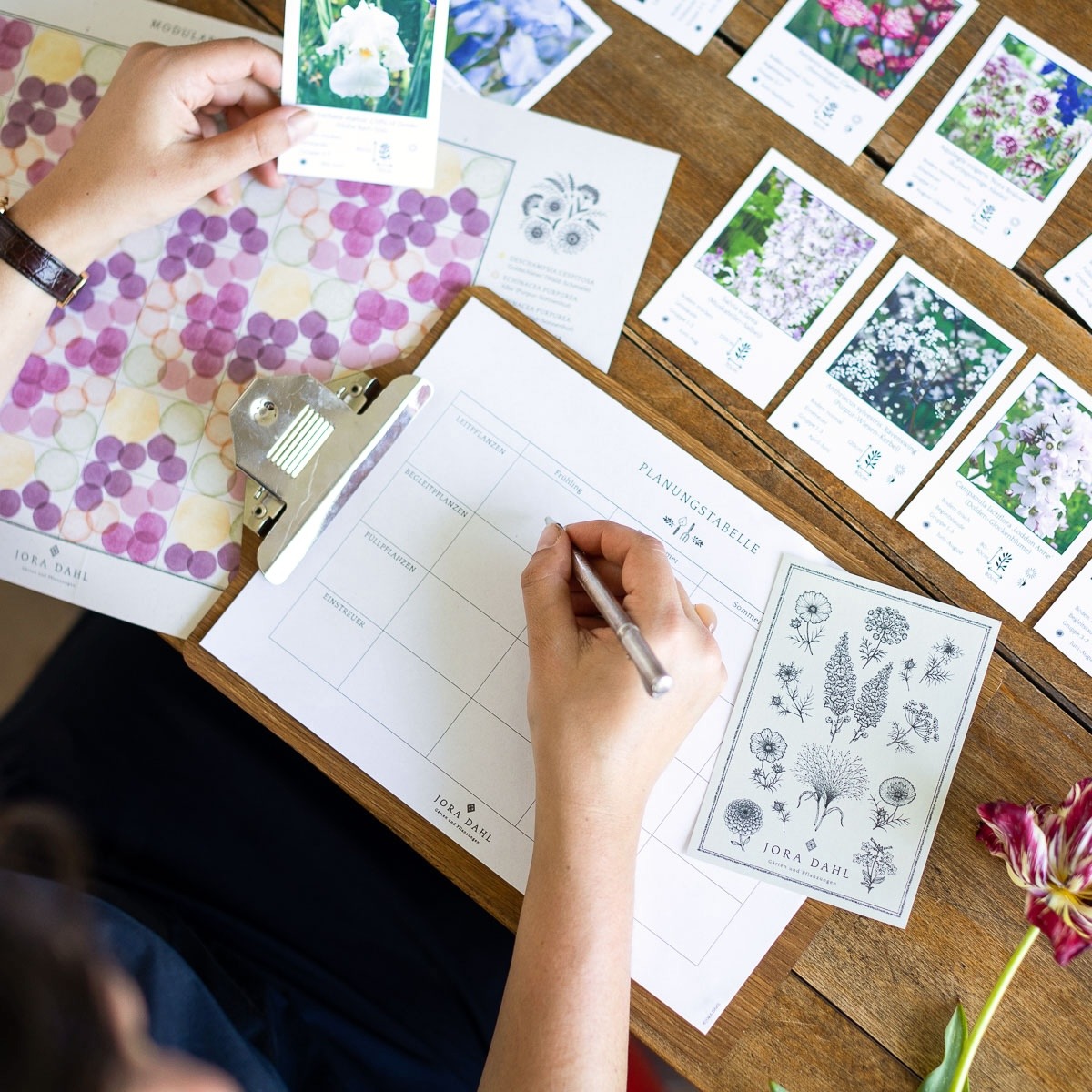 Planung mit dem Staudenkit von Jora Dahl