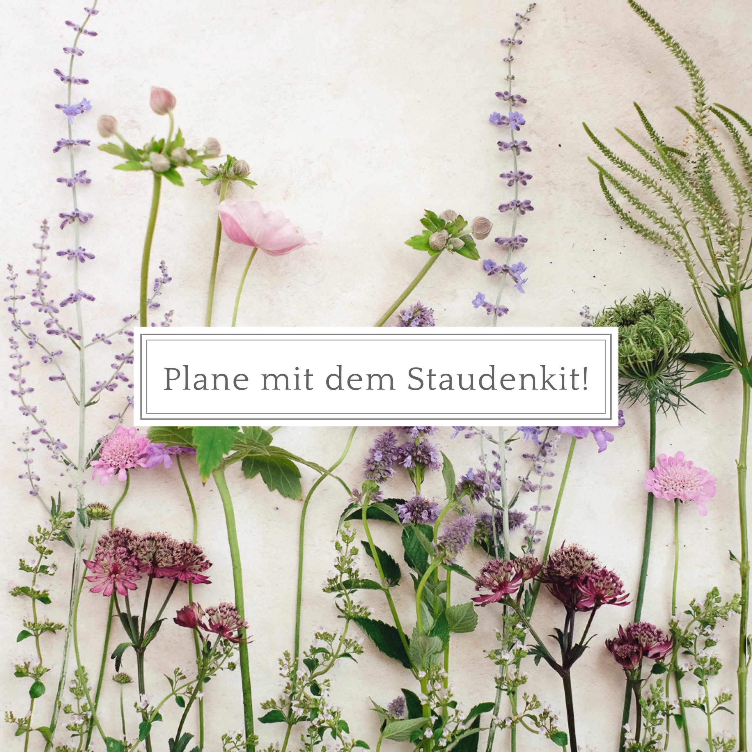 Mit dem Staudenkit planen