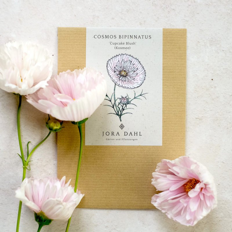 Samentütchen, Saatgut, Blumensamen, Illustration Rekersdrees, Zeichnung