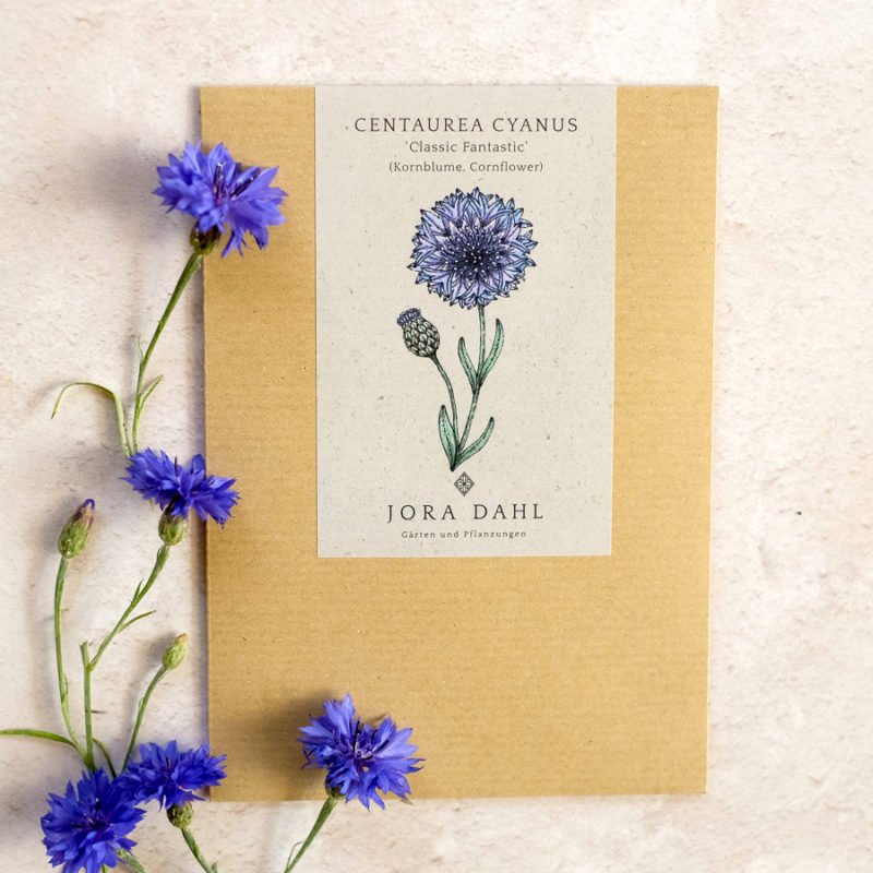 Samentütchen, Saatgut, Blumensamen, Illustration Rekersdrees, Zeichnung