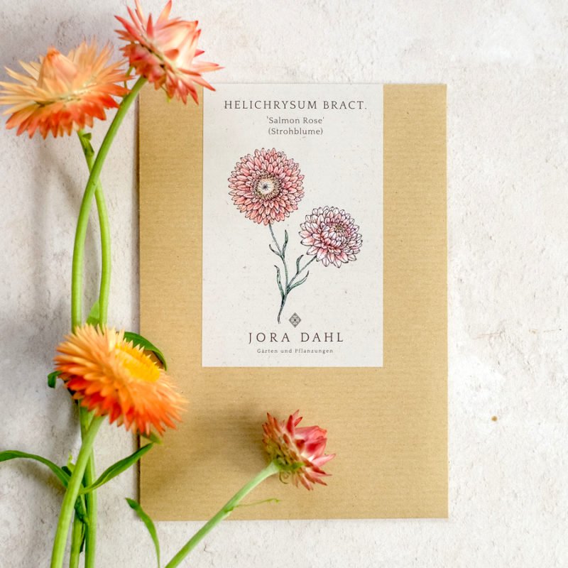 Samentütchen, Saatgut, Blumensamen, Illustration Rekersdrees, Zeichnung