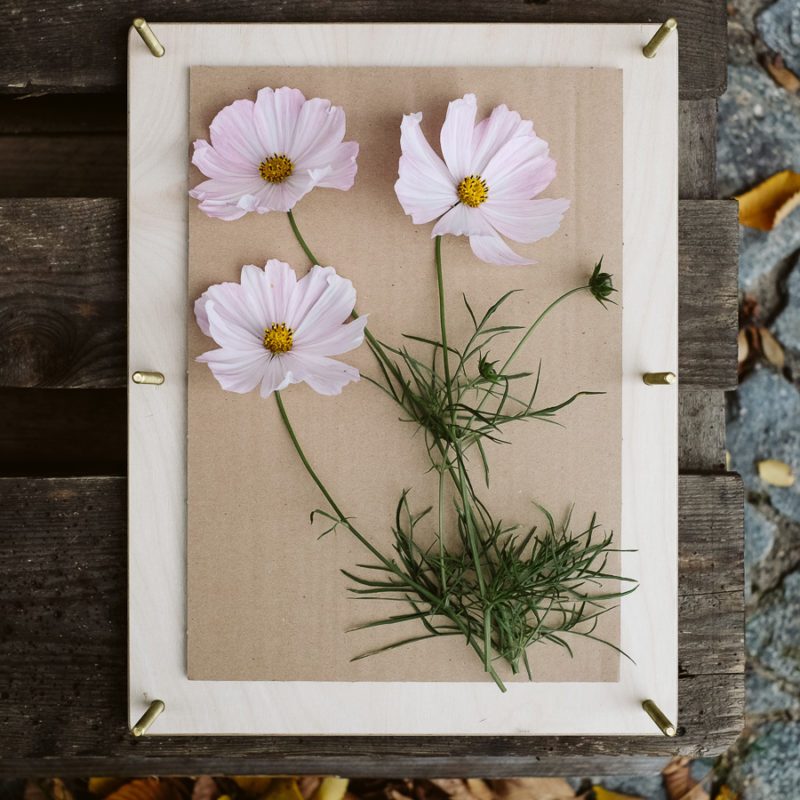 Flower Press, Trockenblumen, Werkzeug