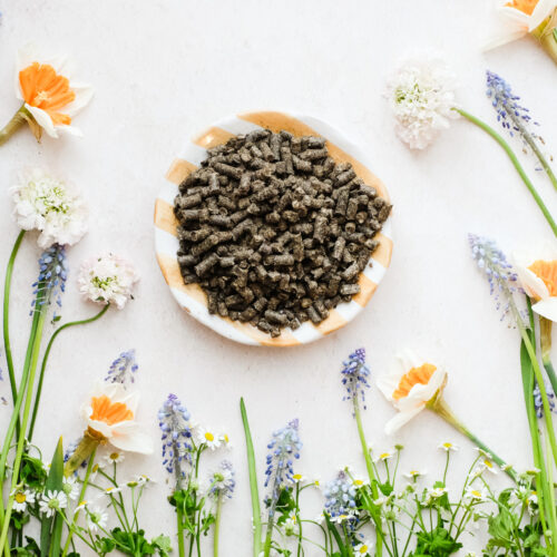 Schafwollpellets Wasserspeicher Dünger Schafwolle Gardenwool