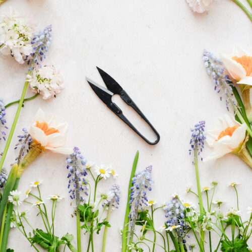 Blütenschere mit Karbonstahlklinge Blumenschere Schnittblumen