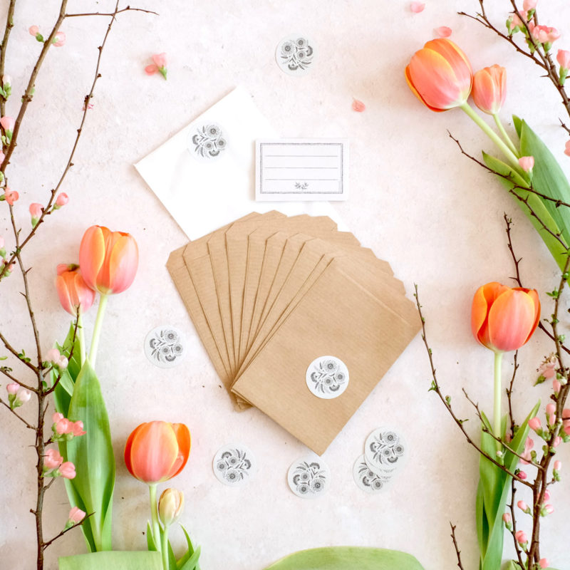Leertütchen für Saatgut Samentütchen Blumensamen