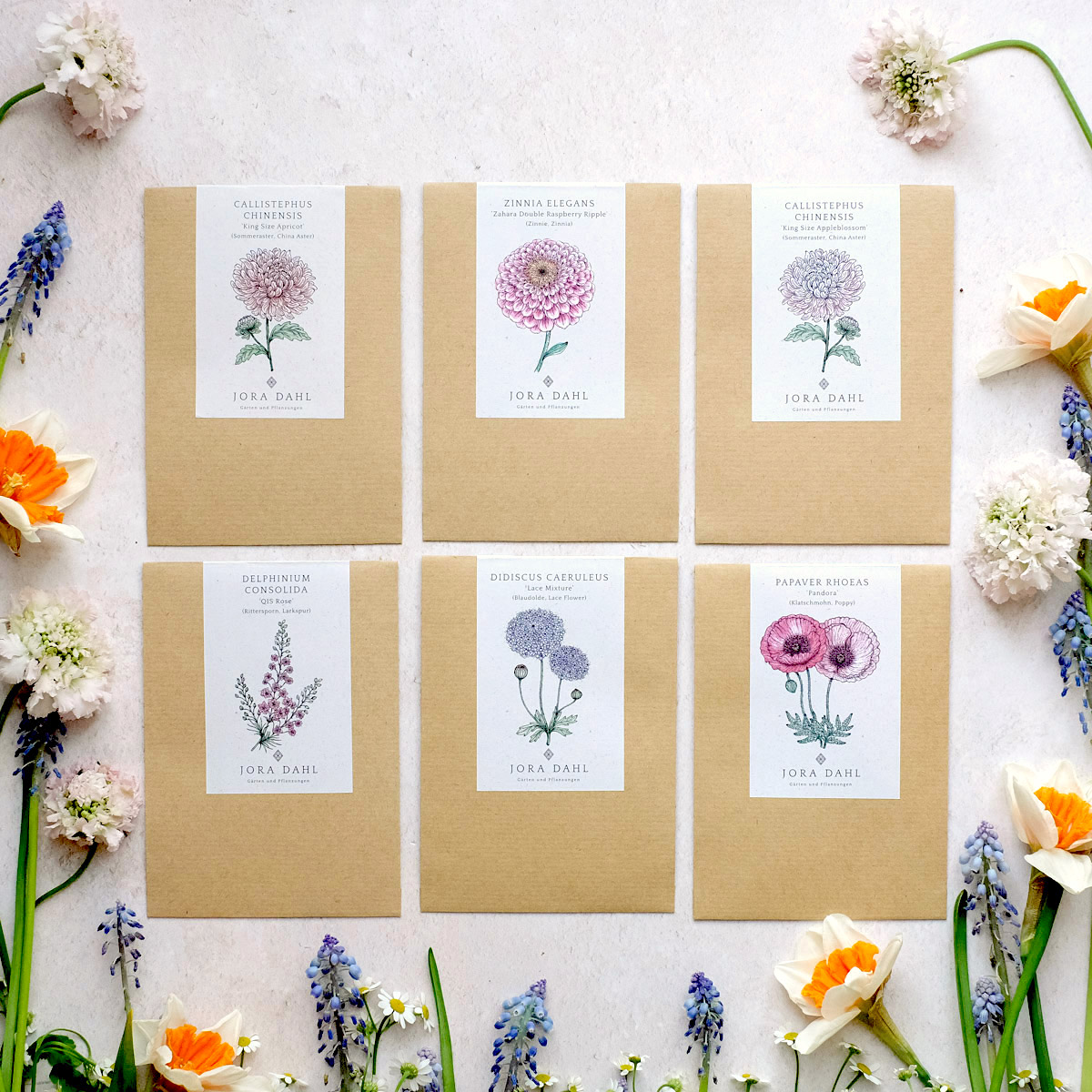 Samentütchen Saatgut umrahmt von Blumen: China Aster Callistephus chinensis King Size Apricot, Zinne Zinnia elegans Zahara Double Raspberry Ripple, China Aster Callistephus chinensis King Size Appleblossom, Rittersporn Delphinium consolida QIS Rose, Blaudolde Didiscus caeruleus Lace Mixture, Klatschmohn Papaver rhoeas Pandora