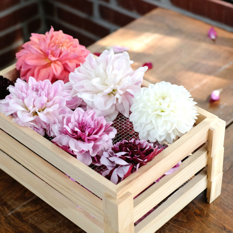 Holz Blumentrockner Trockenblumen Dry flowers