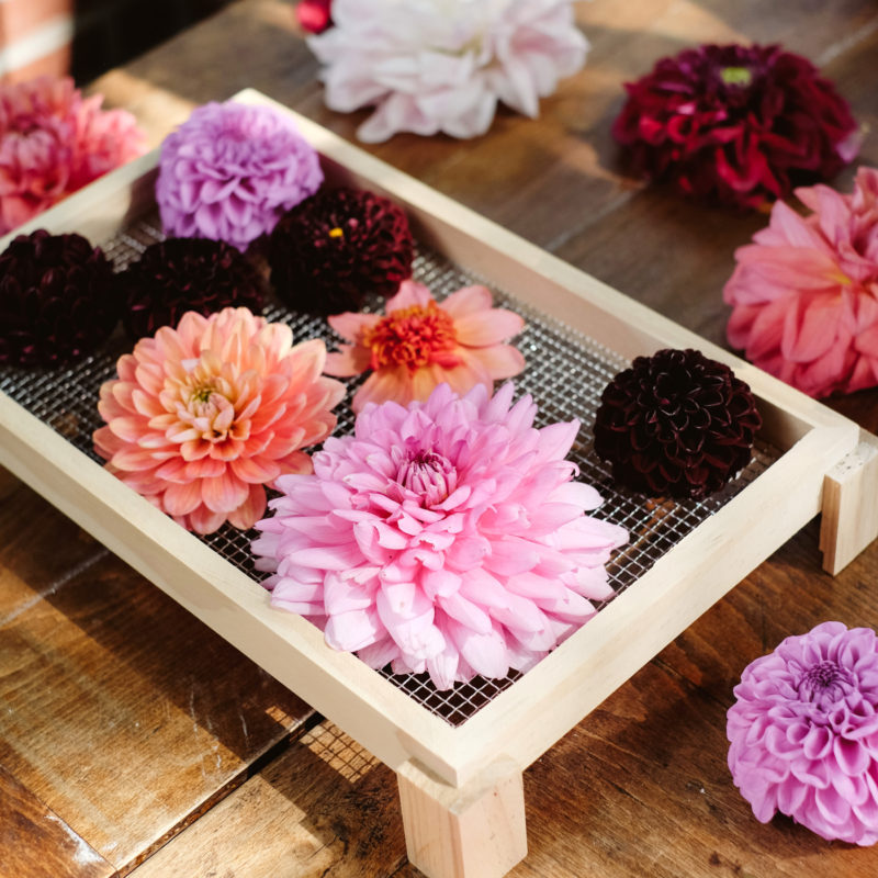 Holz Blumentrockner Trockenblumen Dry flowers