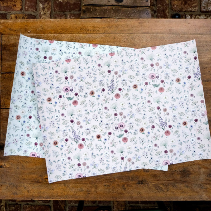 Geschenkpapier Illustration Marion Rekersdrees Zeichnungen Blumensamen Saatgut Papeterie