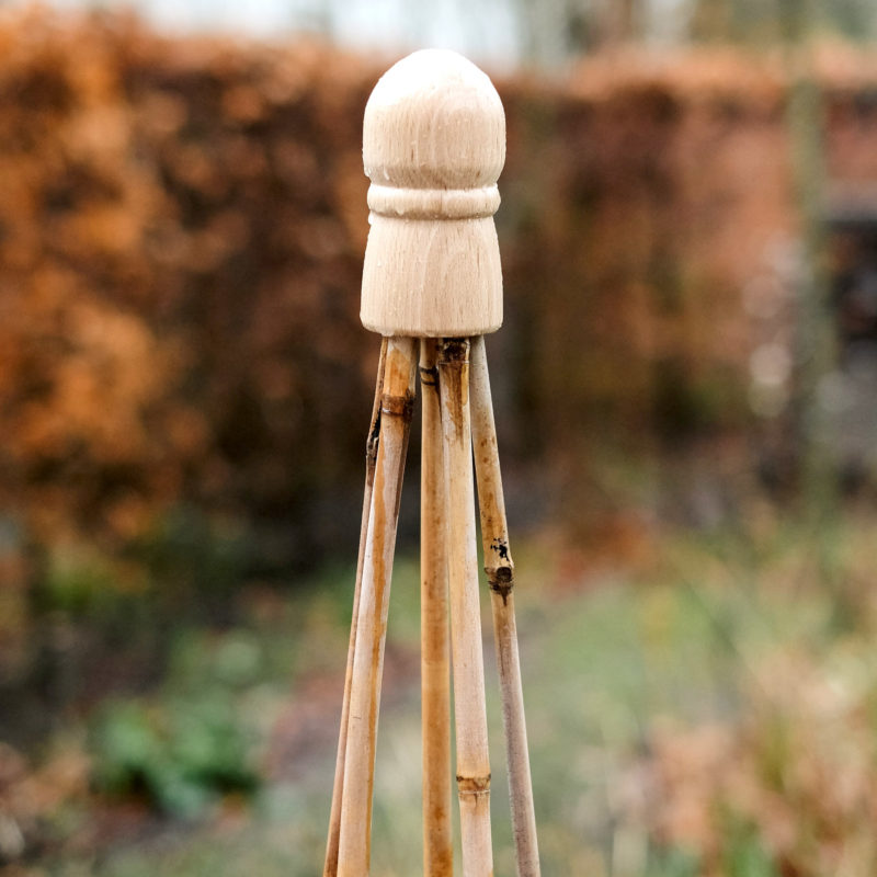 Kletterpflanzen Klettergerüst Blumengarten Gemüsegarten
