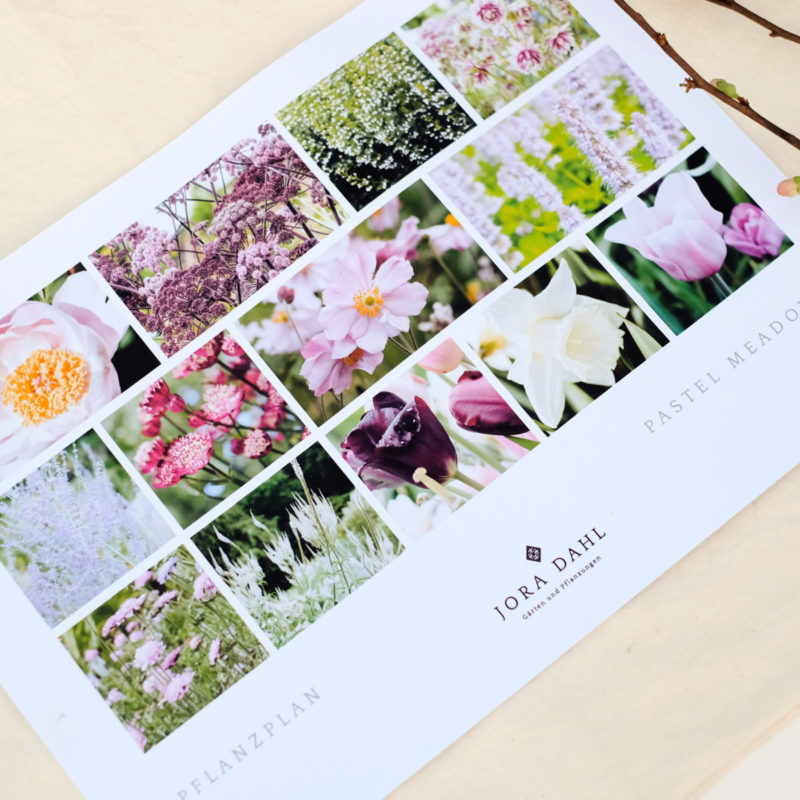 Planting Plan Pastel Meadow Download