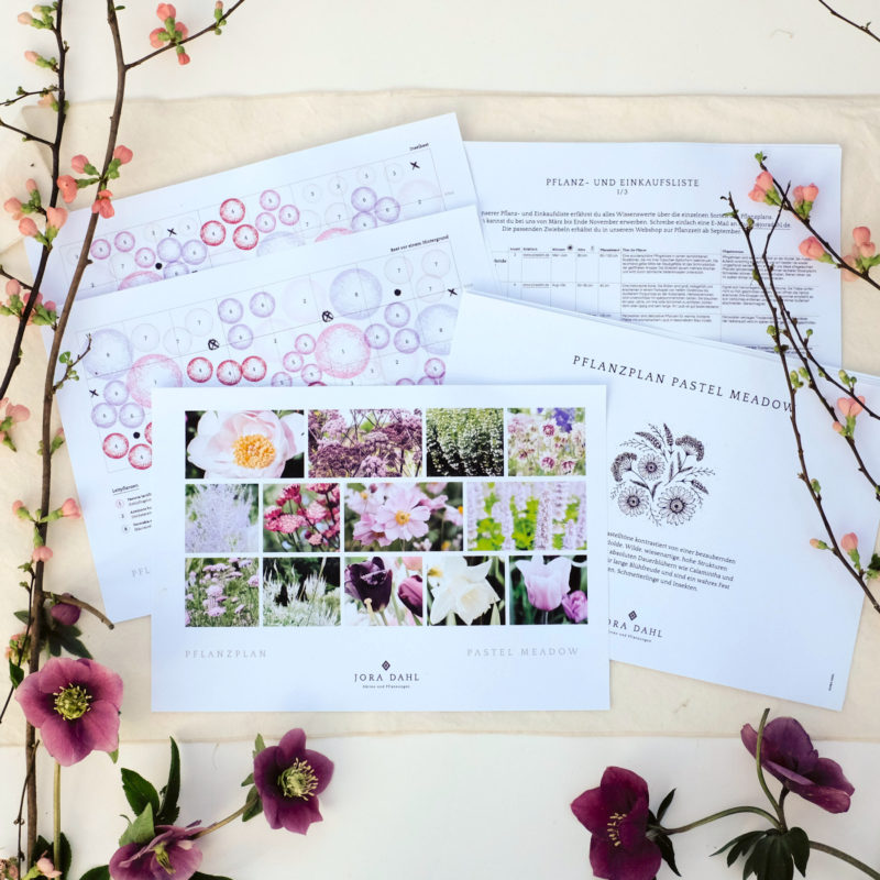 Planting Plan Pastel Meadow Download - Image 2