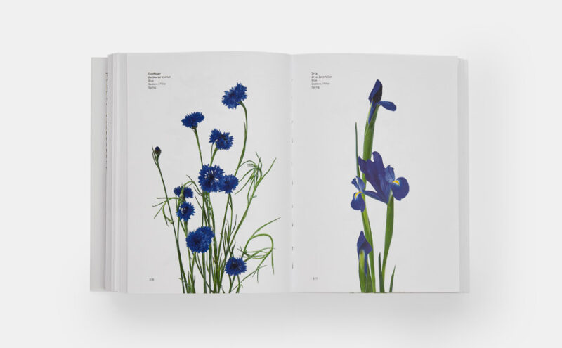 Flower Colour Guide – Bild 5