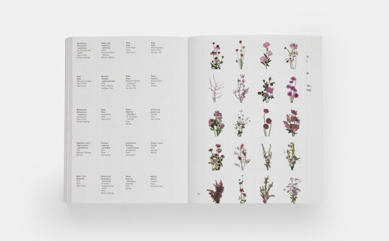 Flower Colour Guide – Bild 3
