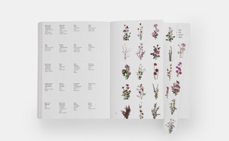 Flower Colour Guide – Bild 6