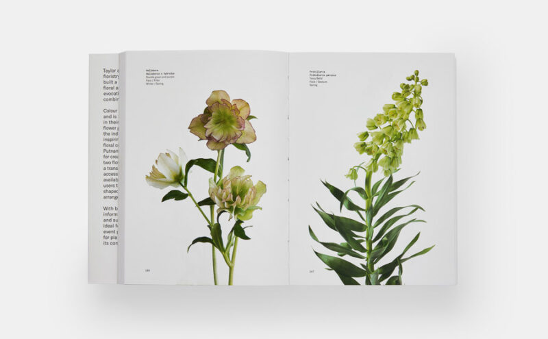 Flower Colour Guide – Bild 4