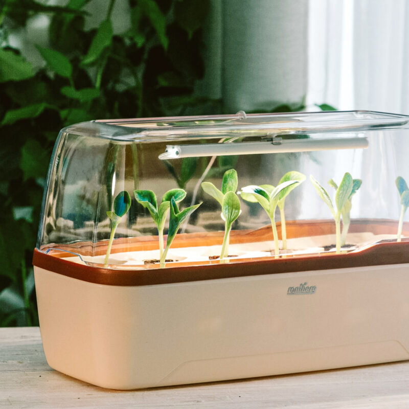 Gewächshaus BoQube L PLus LED