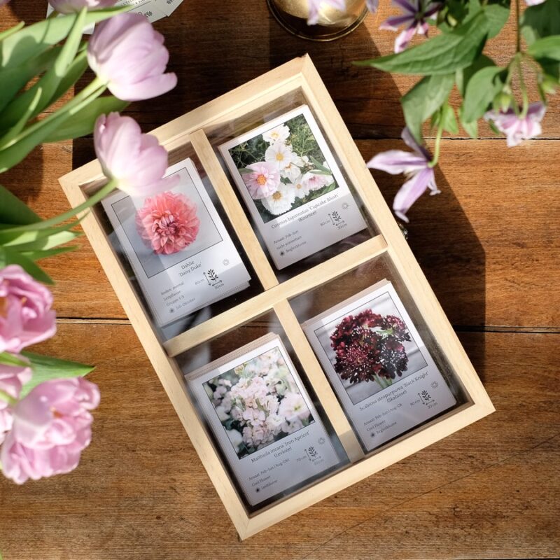 Double-sided frame for dried flowers