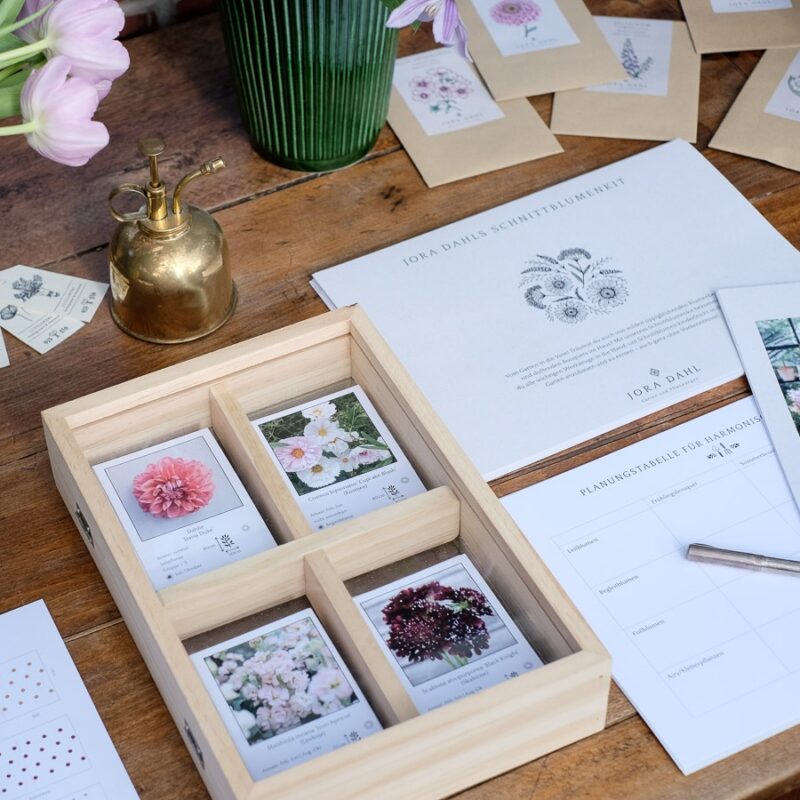 Double-sided frame for dried flowers - Image 2