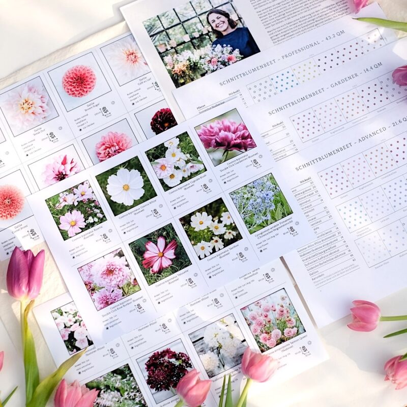 Jora Dahls Schnittblumenkit zum Download