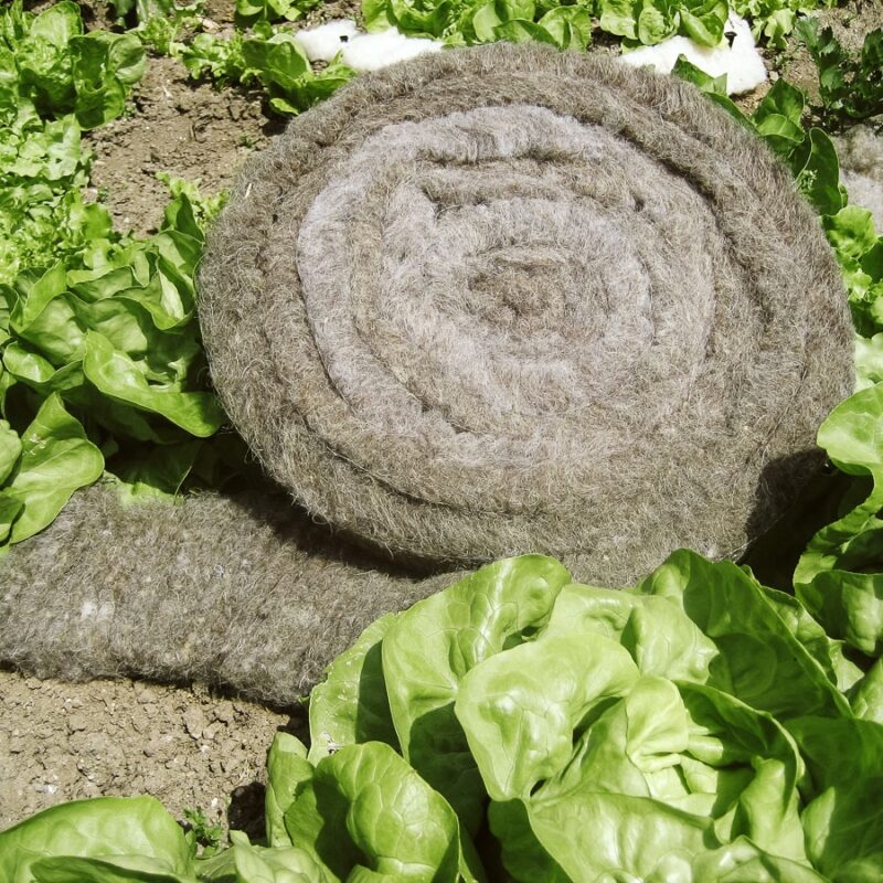 Schneckenbremse aus Schafwolle – Bild 3