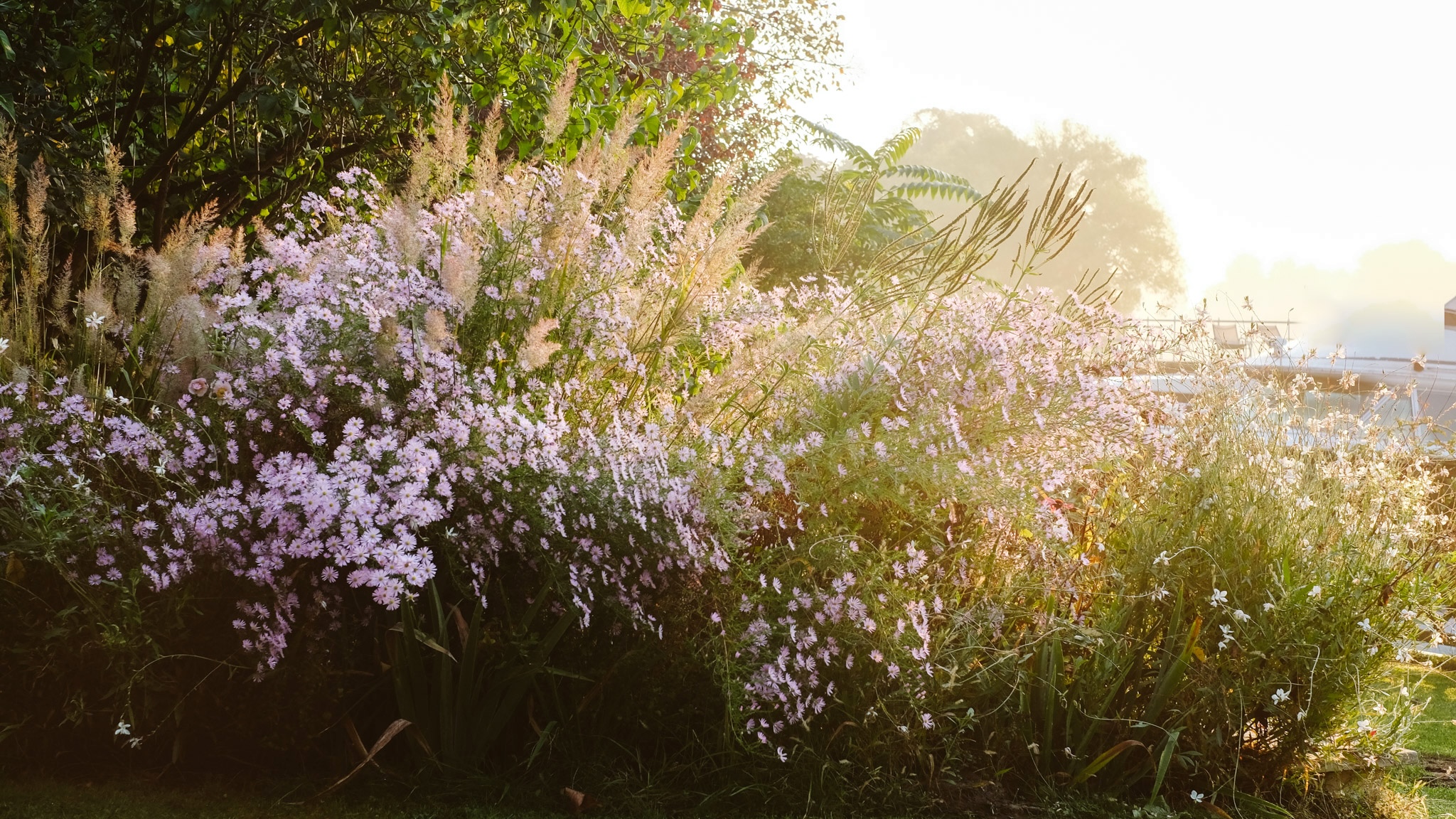 Herbstpflanzung Stauden