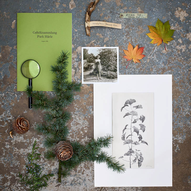 Arborteum_Haerle_Collage_0103_©_S-Rothe_