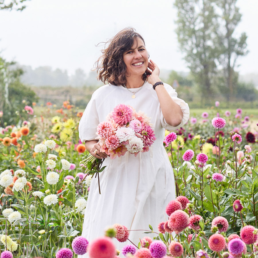 Jora Dahl im Dahlienfeld