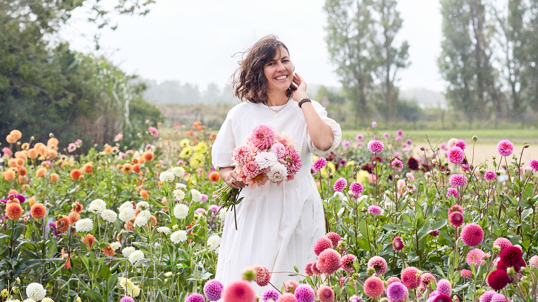 Jora Dahl im Dahlien Feld by S Rothe