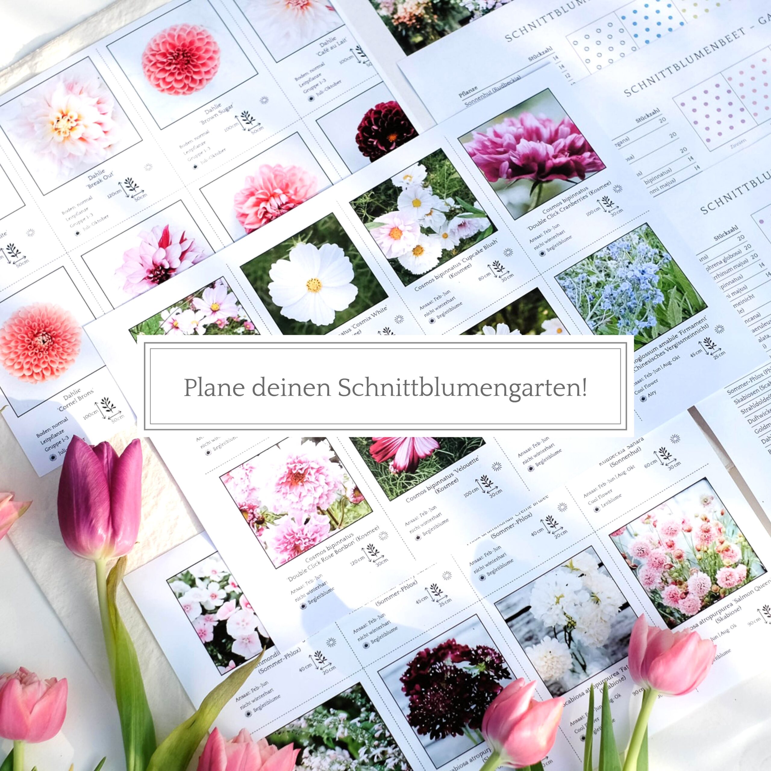 Jora Dahls Schnittblumenkit